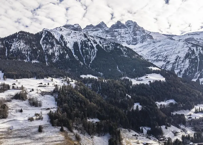 Brocard By Interhome *